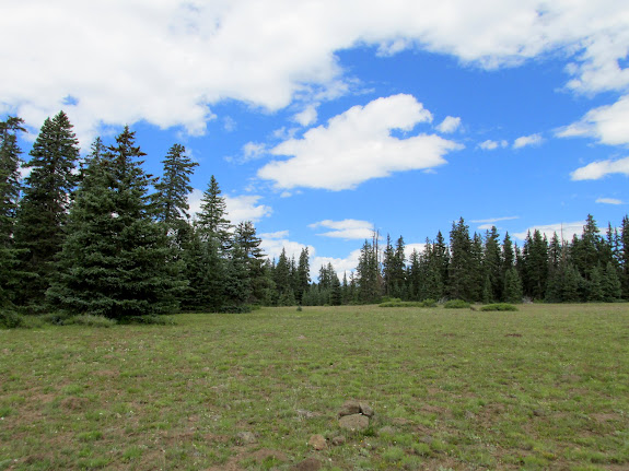 Appropriately-named Flat Top