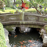 giant gold fish in asakusa in Asakusa, Japan 