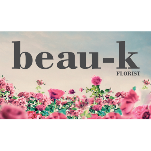 beau-k logo