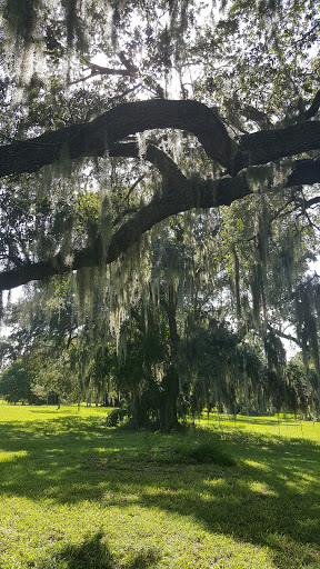 Nature Preserve «Pine Island Ridge Natural Area», reviews and photos, 3900 SW 100th Ave, Davie, FL 33328, USA