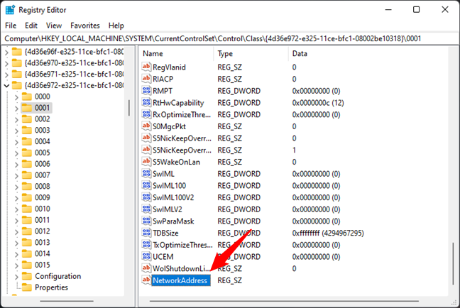 ตั้งชื่อค่าใหม่ NetworkAddress