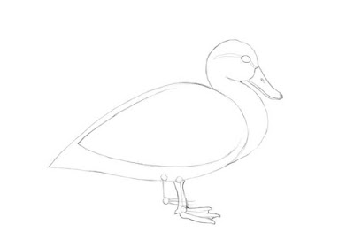 how to draw a duck