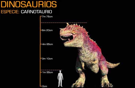 파일:external/img4.wikia.nocookie.net/Carnotaurus_Size.jpg