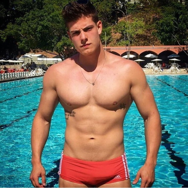 Speedo Musings Pool H picture photo