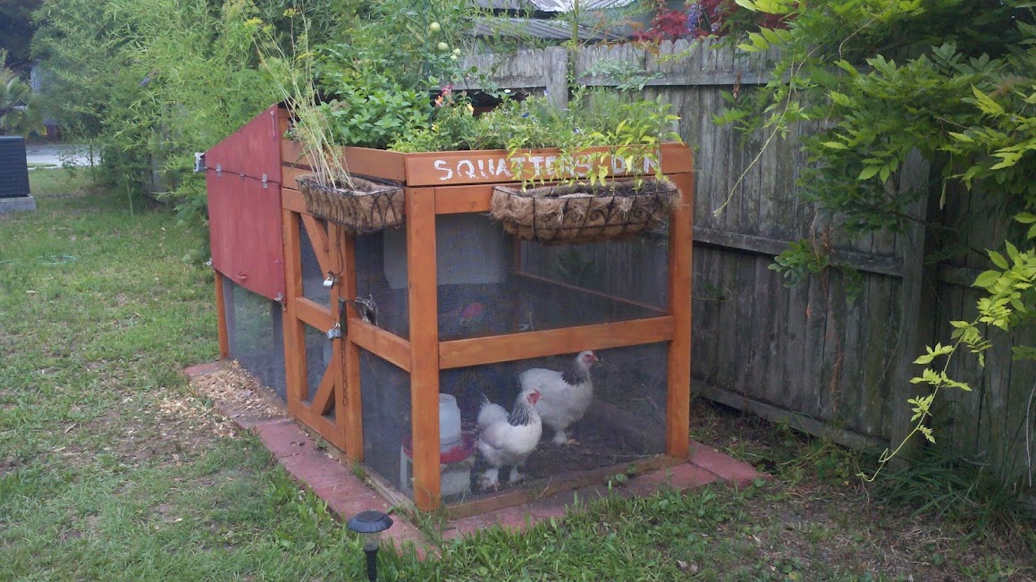 One solution, though not everyone can raise their own chickens.