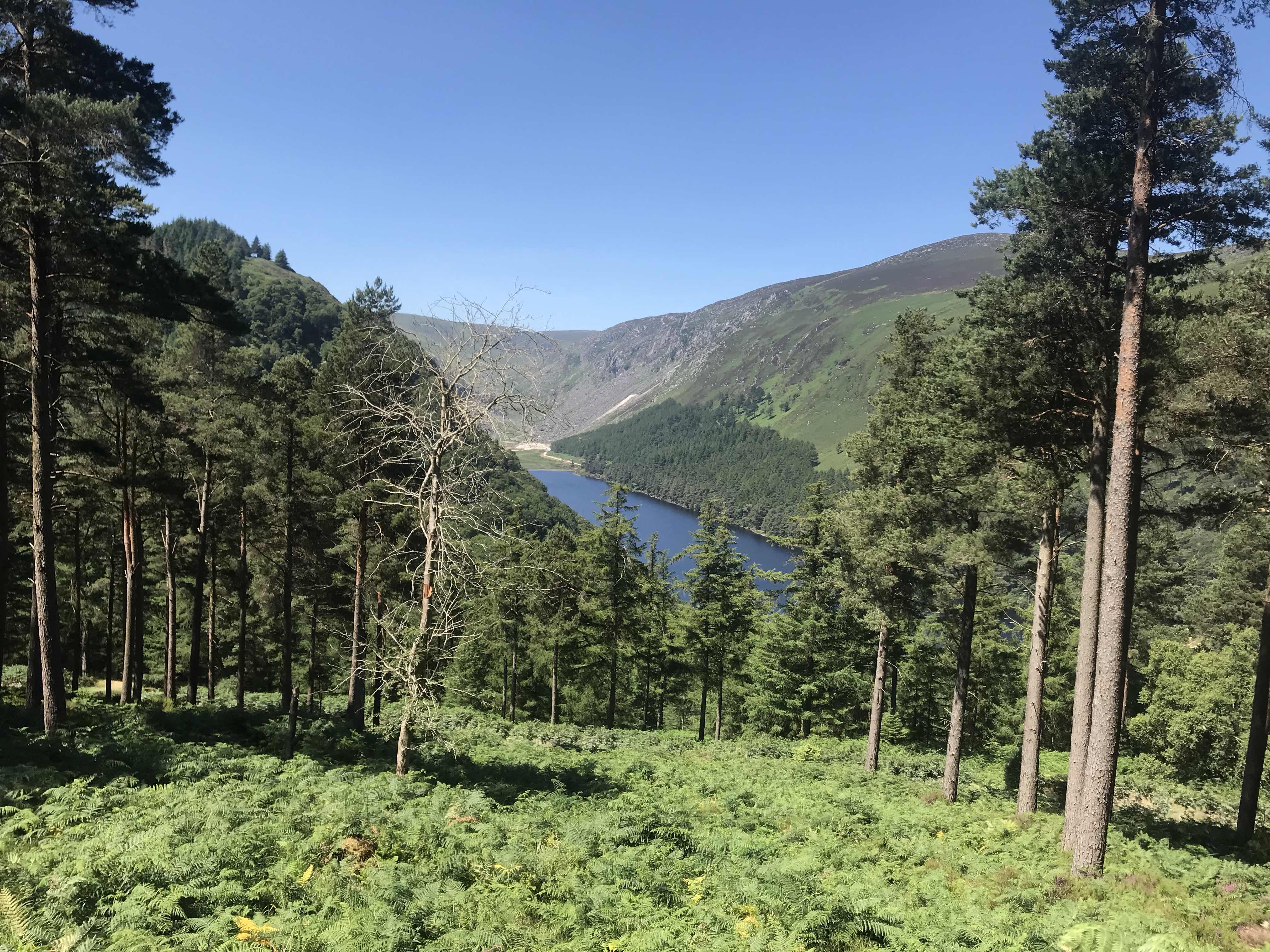 View of Upper Lake