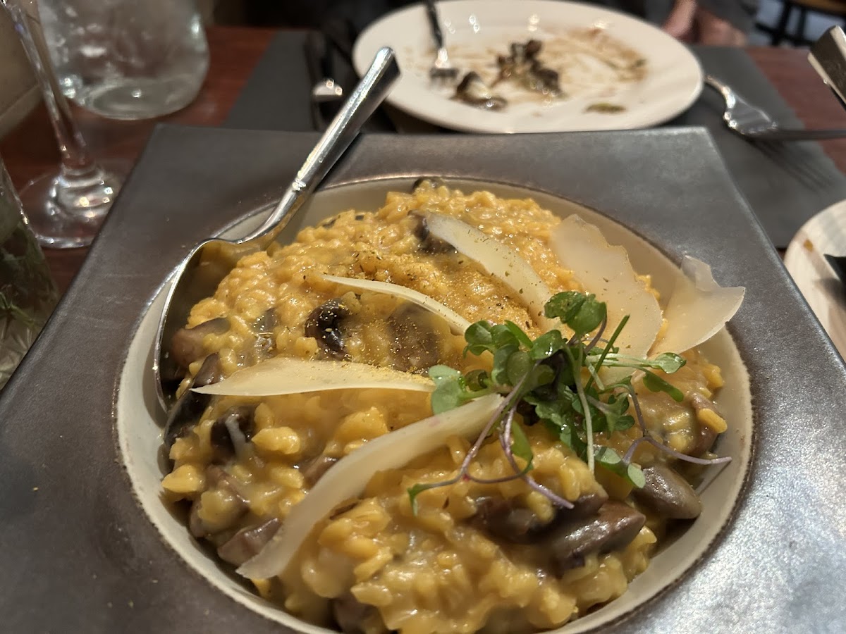 Mushroom risotto special with fennel pollen