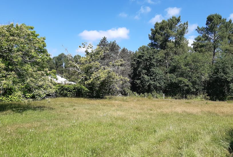  Vente Terrain + Maison - Terrain : 1 160m² - Maison : 165m² à Pessac (33600) 