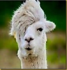 Llama 2