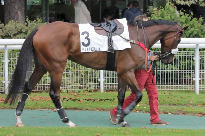 Photos Auteuil 26-09-2015 IMG_4073