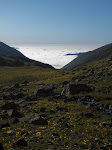 altıparmak, kaçkar, rize