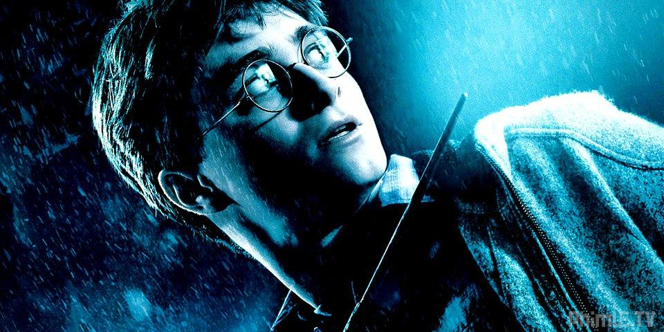 Harry Potter và gã hoàng tử lai (Phần 6)