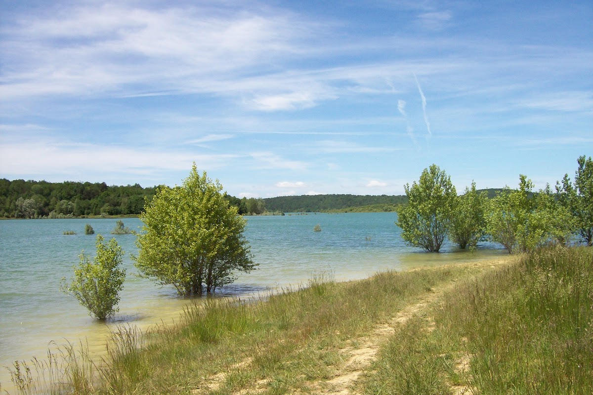 100_0872.JPG
