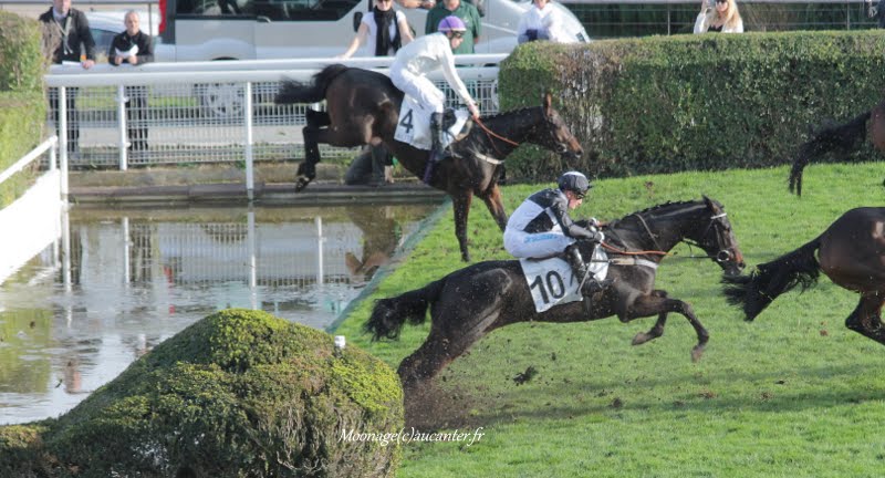 Photos Auteuil 8-11-2015 (48h de l'obstacle) IMG_7028