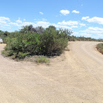 Parking area on Wybung Head Rd at the Geebung Trackhead (249823)