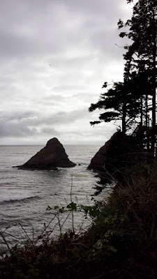 At Heceta Head Lighthous Viewpoint, the view of Cape Creek Cove