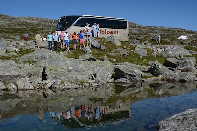 Photos of De Meibloem