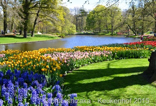 1 .Glória Ishizaka - Keukenhof 2015 - 64