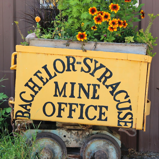 Bachelor Syracuse Mine Tour logo