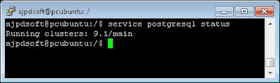 Información de administración sobre PostgreSQL instalado en Linux Ubuntu Server