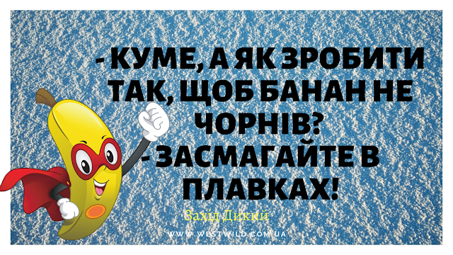 Нові жарти та приколи в картинках українською мовою. Анекдоти про коронавірус, Анекдоти про тещу, анекдоти про кумів та багато інших.