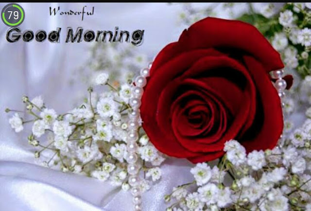 Sweet Whatsapp Good Morning Pictures Sweet Whatsapp Good Morning