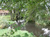 Pond on the stream that runs down to Orben Beck on Beeston Caravan Site