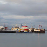 harbor in Reykjavik, Iceland 