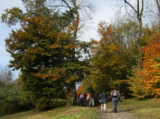 1010300024 Autumn on the North Downs Way