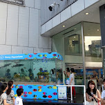 the outside Sony Aquarium in Ginza, Japan 