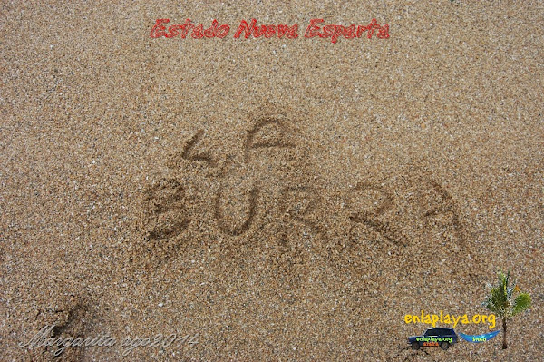 Playa La Burra NE088, Estado Nueva Esparta, Macacao, venezuelandrover.com, 4x4