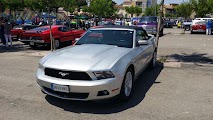 Mustang5.jpg