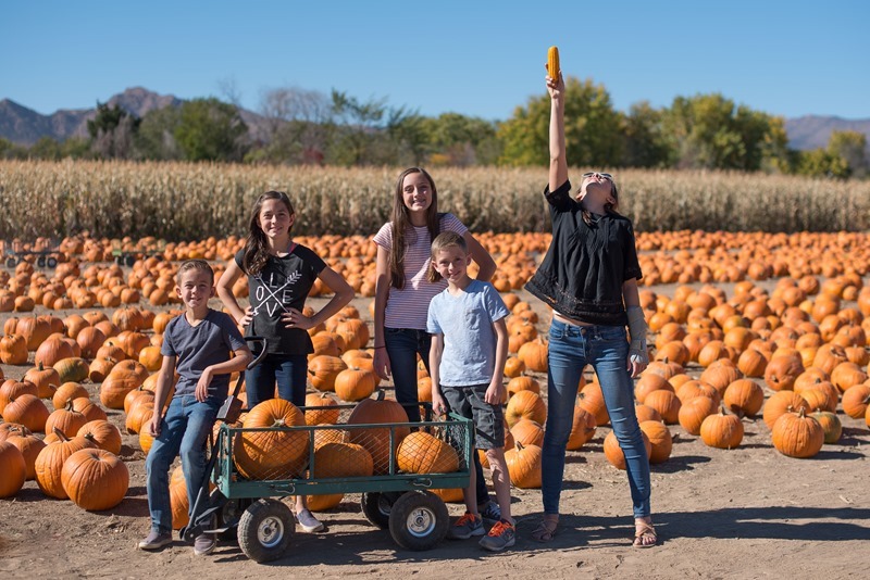 Canon City Pumpkin Patch-48