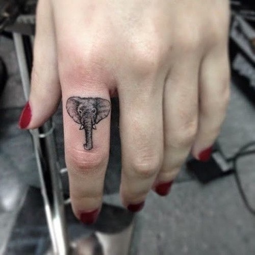 elefante_tatuagens_2