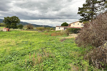 terrain à Saint-Forgeux-Lespinasse (42)