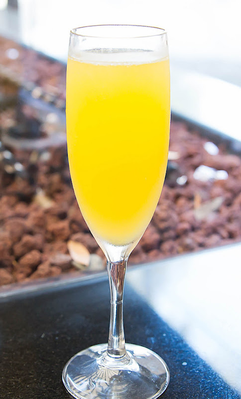 photo of a Mimosa