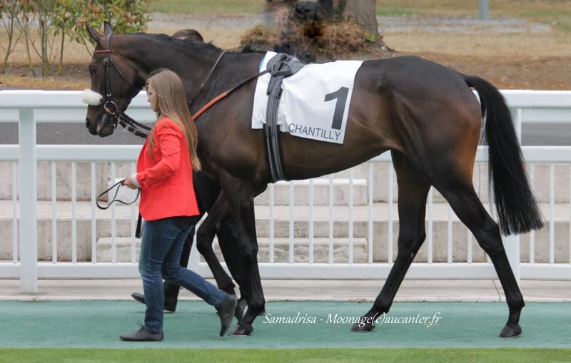 Photos Chantilly 12-07-2015 IMG_2708