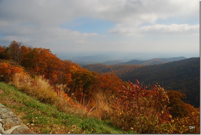 10-23-15 A Skyline Drive Shenandoah NP (110)