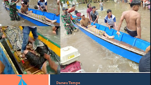 Diduga Tidak Bisa Berenang  Tiga Korban Tewas dalam Tragedi Perahu Terbalik di Danau Tempe Toddang Saloe