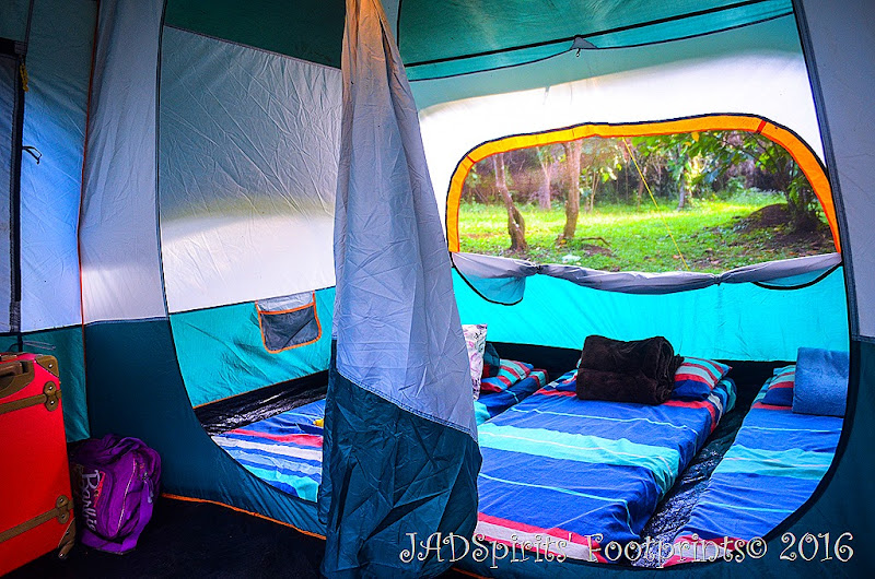 Inside our Glamping Tent showing our beds for the night