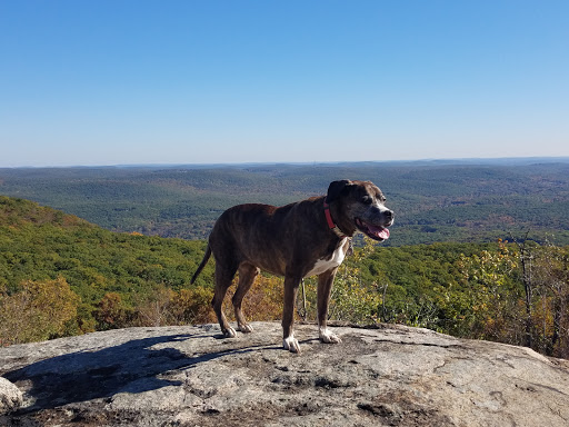 Mount Beacon Fire Tower