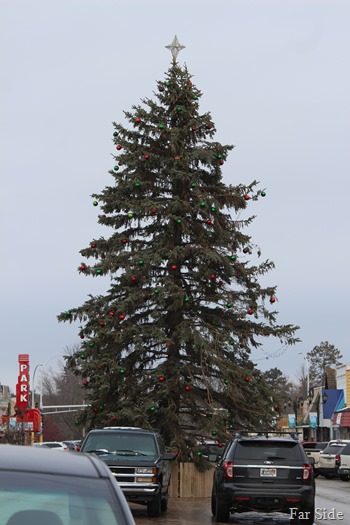 Tree in town