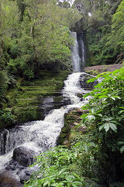 NUEVA ZELANDA: NAVIDADES EN LAS ANTÍPODAS - Blogs de Nueva Zelanda - SOUTHLAND: LOS CATLINS, DE OWAKA A TE ANAU (8)