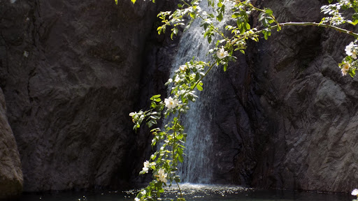 Le pied de la cascade de Piscia Vitalba