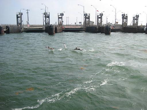 Port Aransas 2008. Apr 7, 2008