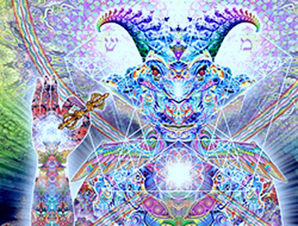 pict_dmt_reports