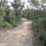 Heading down Stringybark ridge (153364)