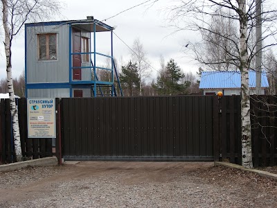 Photos of ostrich Farm