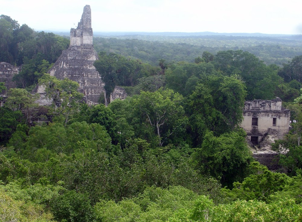 The Tikal ruins, the most famous of Guatemala's many Mayan ruins...