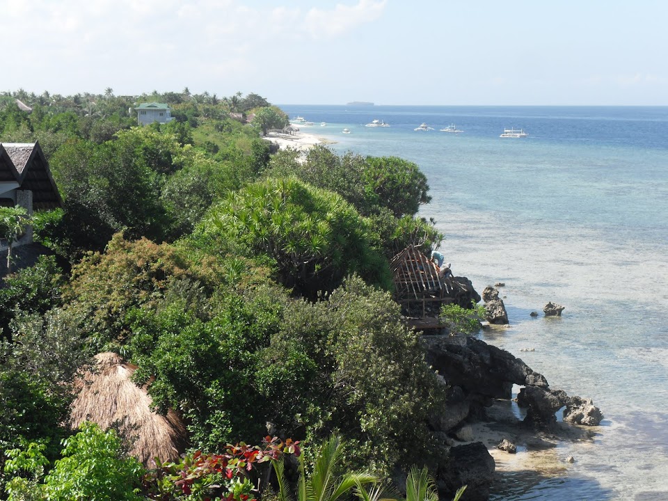 Ocean view from Blue Orchid